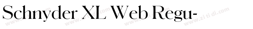 Schnyder XL Web Regu字体转换